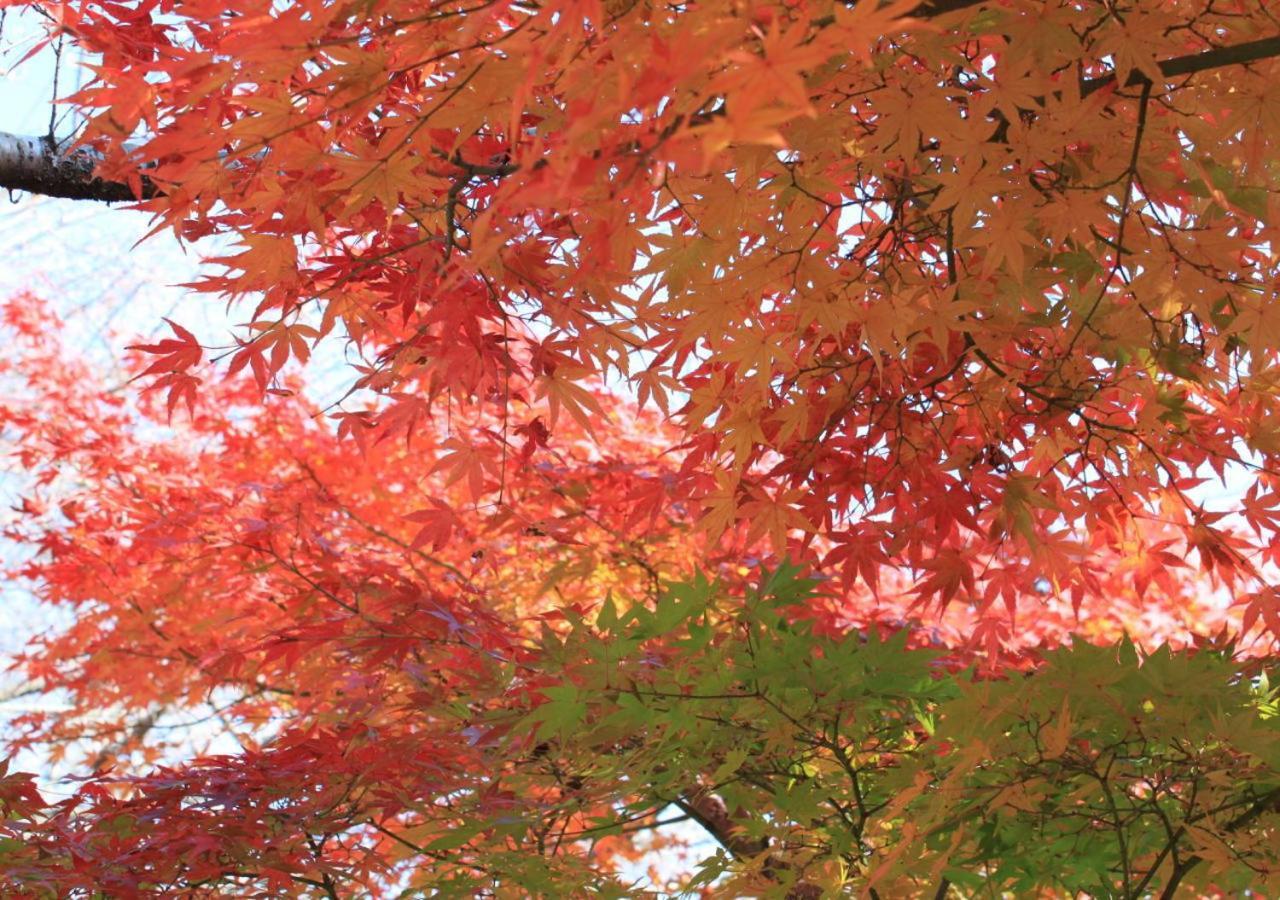 Rakuzan Yasuda Hotel อิซึโนะคุนิ ภายนอก รูปภาพ